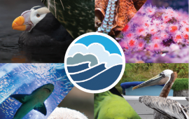 Oregon Coast Aquarium Cultural Pass image