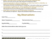 Observation Worksheet