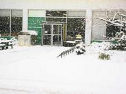 Snow falling in front of library doors