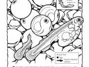 Spawning Coloring Sheet