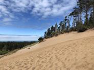 The Sandhill at Barview Jetty County Campground