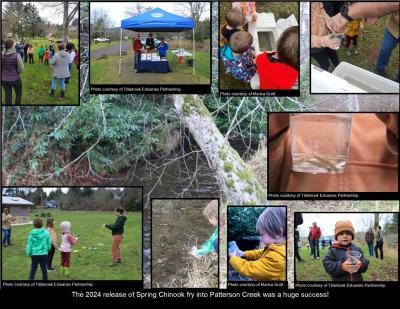 Compilation of salmon release photos
