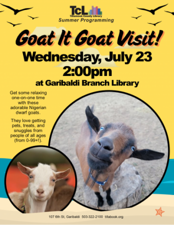 Goats looking at the camera