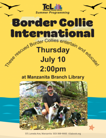 Border Collies