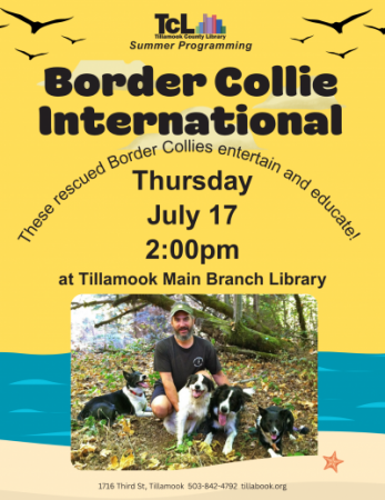Man with several border collies