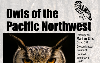Owls of the Pacific Northwest presented by Marilyn Ellis at the Tillamook Main Library on April 13th, top of flyer.