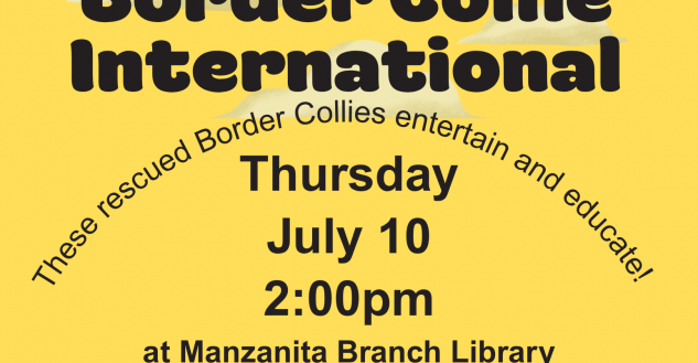 Border Collies